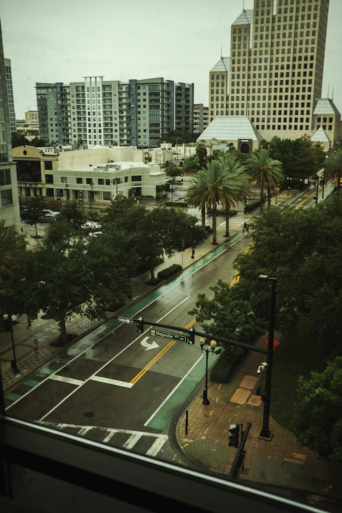 A rainy day in downtown Orlando featuring modern skyscrapers and palm-lined streets.