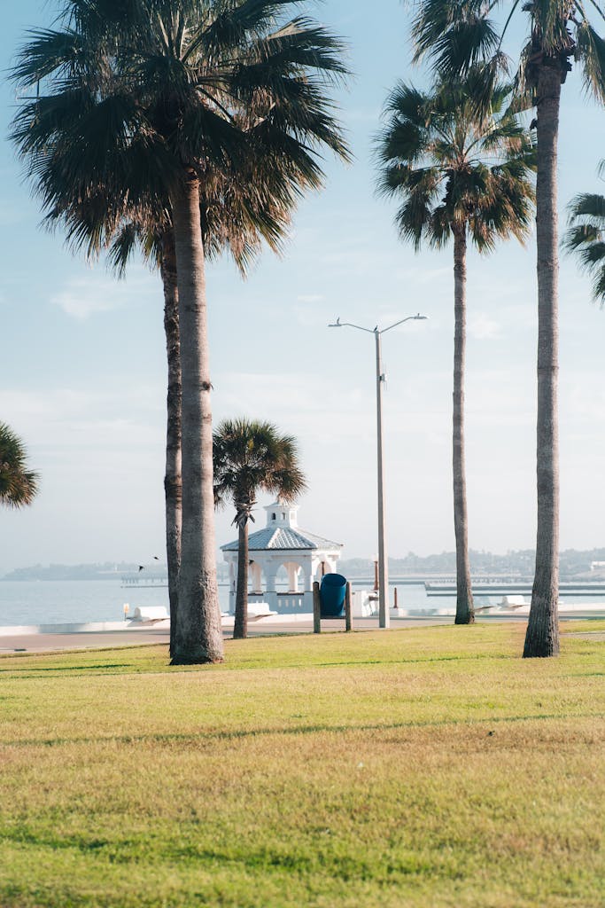 Palm-lined coastal view at sunrise with a scenic pavilion, representing how businesses get found on Google locally